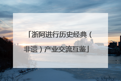 浙阿进行历史经典（非遗）产业交流互鉴