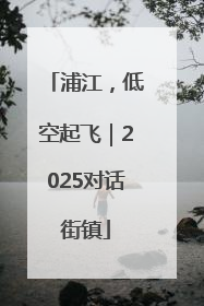 浦江，低空起飞｜2025对话街镇