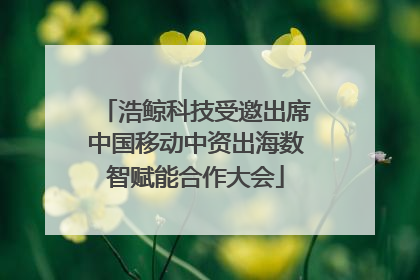 浩鲸科技受邀出席中国移动中资出海数智赋能合作大会