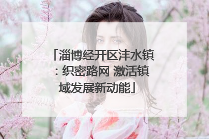 淄博经开区沣水镇：织密路网 激活镇域发展新动能