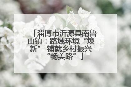 淄博市沂源县南鲁山镇：路域环境“焕新” 铺就乡村振兴“畅美路”
