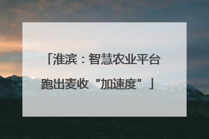 淮滨：智慧农业平台跑出麦收“加速度”