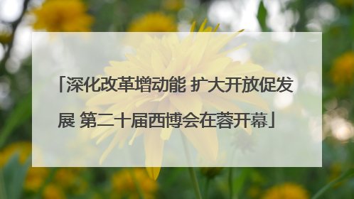 深化改革增动能 扩大开放促发展 第二十届西博会在蓉开幕