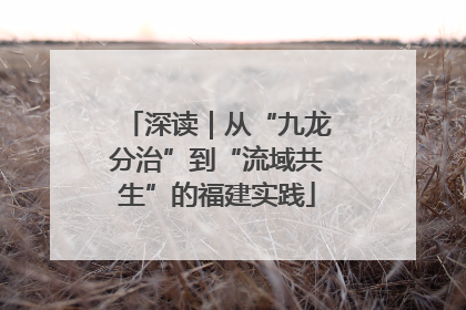 深读｜从“九龙分治”到“流域共生”的福建实践