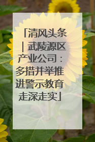 清风头条｜武陵源区产业公司：多措并举推进警示教育走深走实