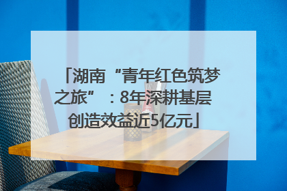 湖南“青年红色筑梦之旅”：8年深耕基层创造效益近5亿元