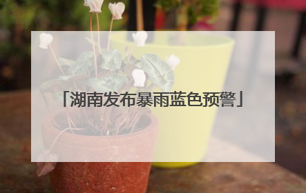 湖南发布暴雨蓝色预警