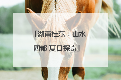 湖南桂东：山水四都 夏日探奇