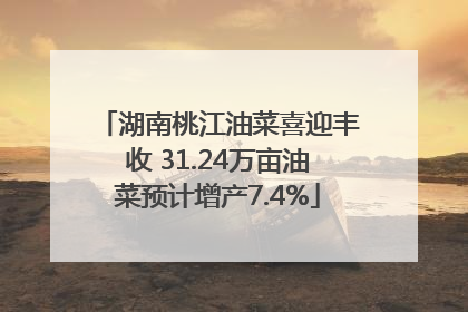 湖南桃江油菜喜迎丰收 31.24万亩油菜预计增产7.4%