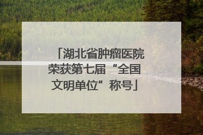 湖北省肿瘤医院荣获第七届“全国文明单位”称号