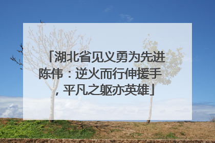 湖北省见义勇为先进陈伟：逆火而行伸援手，平凡之躯亦英雄