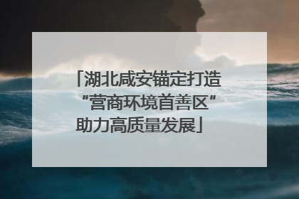湖北咸安锚定打造“营商环境首善区”助力高质量发展