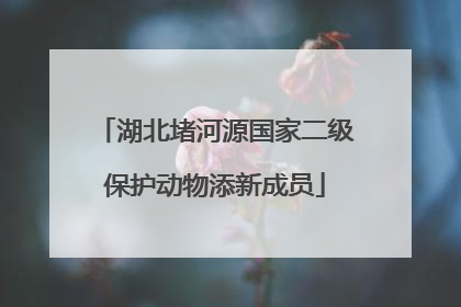 湖北堵河源国家二级保护动物添新成员