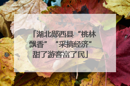 湖北郧西县“桃林飘香”“采摘经济”甜了游客富了民