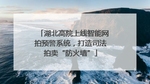 湖北高院上线智能网拍预警系统，打造司法拍卖“防火墙”