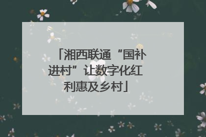湘西联通“国补进村”让数字化红利惠及乡村