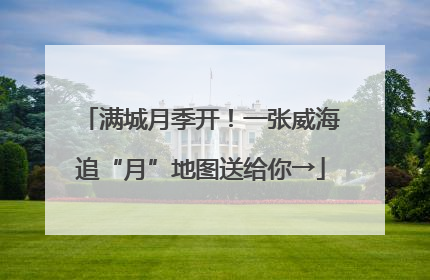 满城月季开！一张威海追“月”地图送给你→