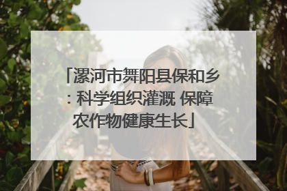 漯河市舞阳县保和乡：科学组织灌溉 保障农作物健康生长
