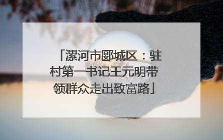 漯河市郾城区：驻村第一书记王元明带领群众走出致富路