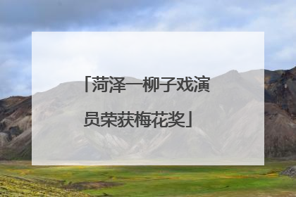 菏泽一柳子戏演员荣获梅花奖