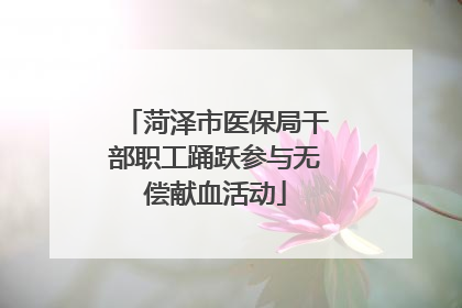 菏泽市医保局干部职工踊跃参与无偿献血活动