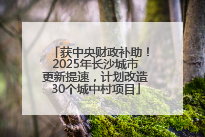 获中央财政补助！2025年长沙城市更新提速，计划改造30个城中村项目