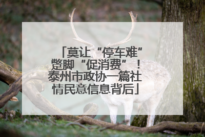 莫让“停车难”蹩脚“促消费”！泰州市政协一篇社情民意信息背后