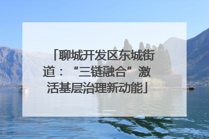 聊城开发区东城街道：“三链融合”激活基层治理新动能