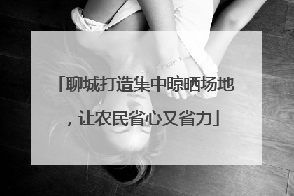 聊城打造集中晾晒场地，让农民省心又省力