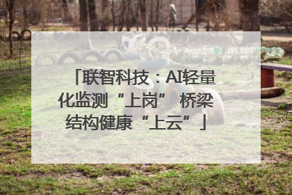 联智科技：AI轻量化监测“上岗” 桥梁结构健康“上云”