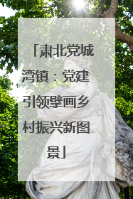 肃北党城湾镇：党建引领擘画乡村振兴新图景