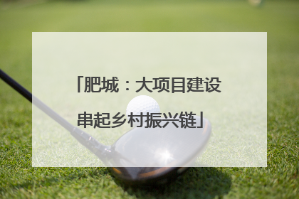 肥城：大项目建设串起乡村振兴链