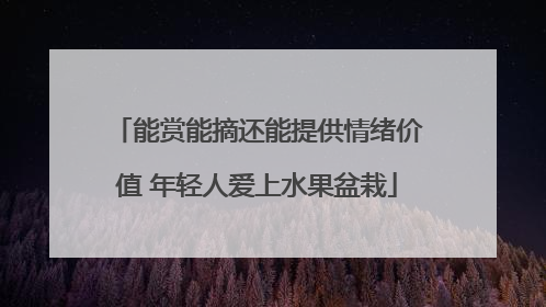 能赏能摘还能提供情绪价值 年轻人爱上水果盆栽