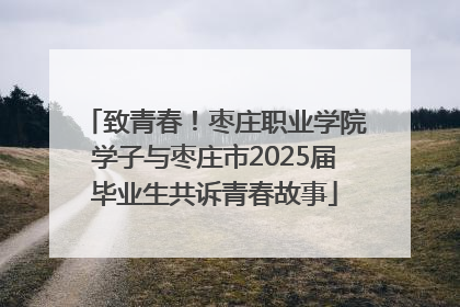 致青春！枣庄职业学院学子与枣庄市2025届毕业生共诉青春故事