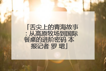 舌尖上的青海故事：从高原牧场到国际餐桌的进阶密码 本报记者 罗 珺