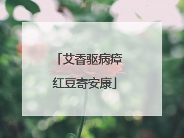 艾香驱病瘴 红豆寄安康