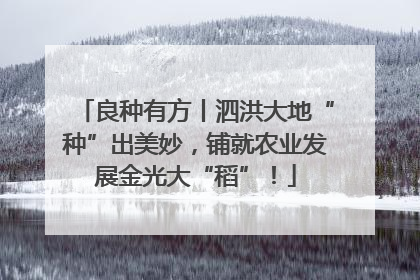 良种有方丨泗洪大地“种”出美妙，铺就农业发展金光大“稻”！