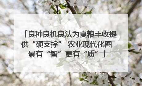良种良机良法为夏粮丰收提供“硬支撑” 农业现代化图景有“智”更有“质”