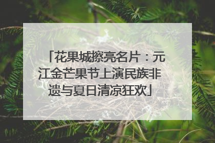 花果城擦亮名片：元江金芒果节上演民族非遗与夏日清凉狂欢
