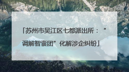 苏州市吴江区七都派出所：“调解智囊团”化解涉企纠纷