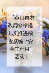英山县发改局多举措扎实推进粮食系统“安全生产月”活动