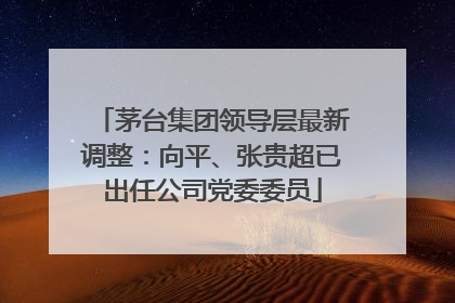 茅台集团领导层最新调整：向平、张贵超已出任公司党委委员