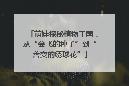 萌娃探秘植物王国：从“会飞的种子”到“善变的绣球花”