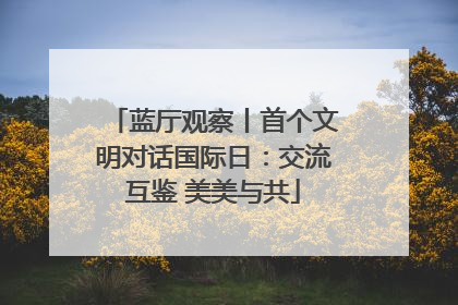 蓝厅观察丨首个文明对话国际日：交流互鉴 美美与共
