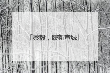 蔡毅，履新宣城