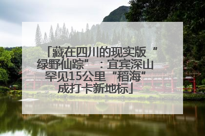 藏在四川的现实版“绿野仙踪”：宜宾深山罕见15公里“稻海”成打卡新地标
