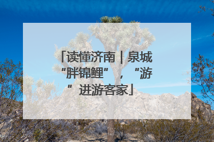 读懂济南｜泉城“胖锦鲤”，“游”进游客家