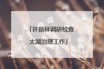 许昆林调研检查太湖治理工作