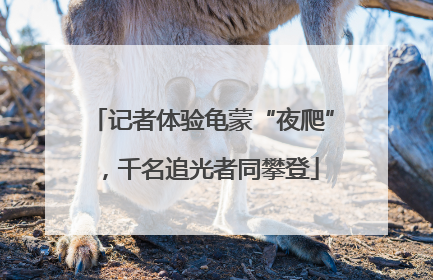 记者体验龟蒙“夜爬”，千名追光者同攀登