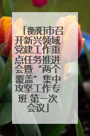 衡阳市召开新兴领域党建工作重点任务推进会暨“两个覆盖”集中攻坚工作专班 第一次会议